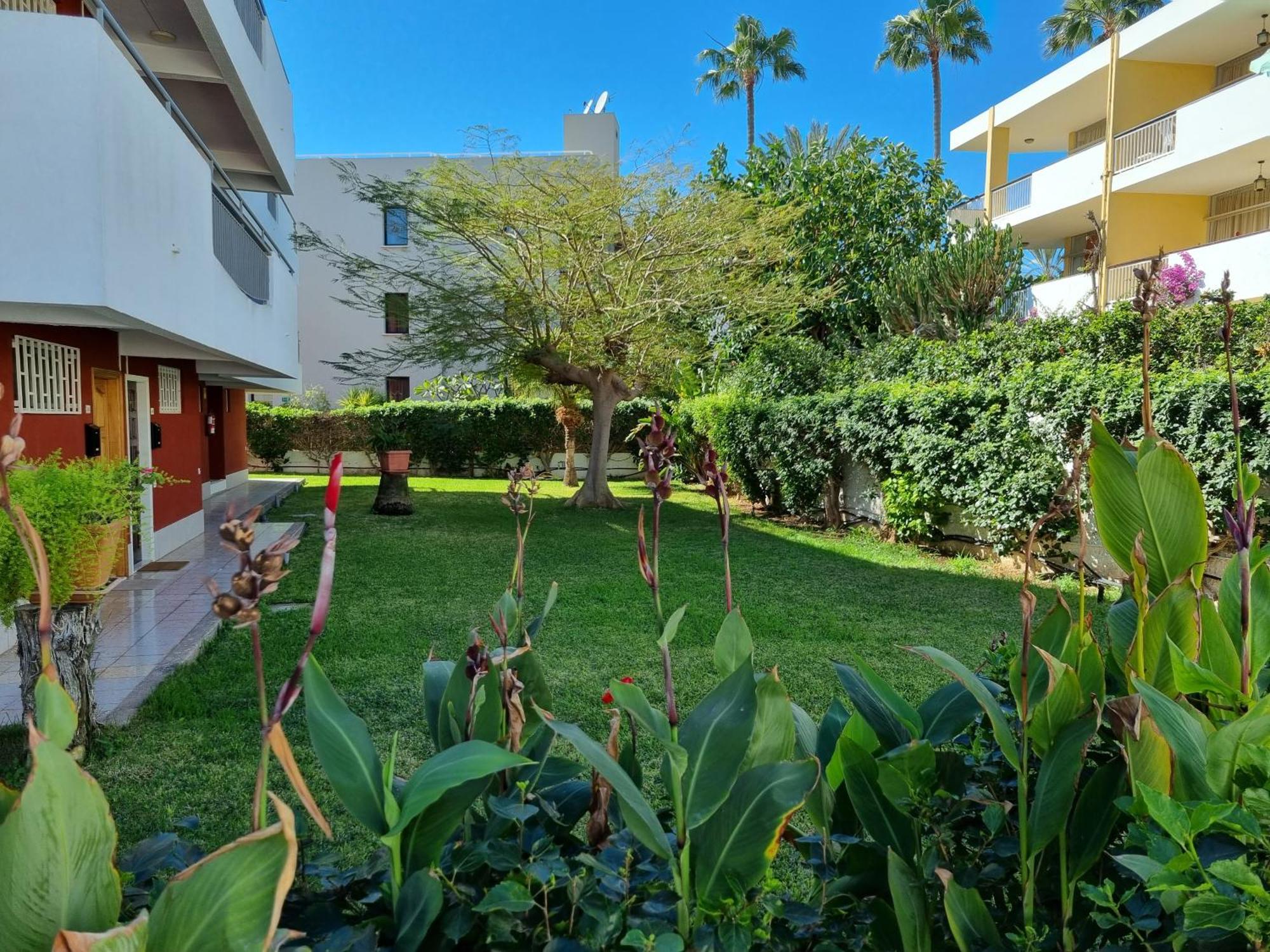 Apartment With Sea View Close To Dunes Of Playa Del Ingles San Bartolome Bagian luar foto